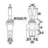 Karos kapcsoló 20 A - 12 V DC ON - OFF  LED-del